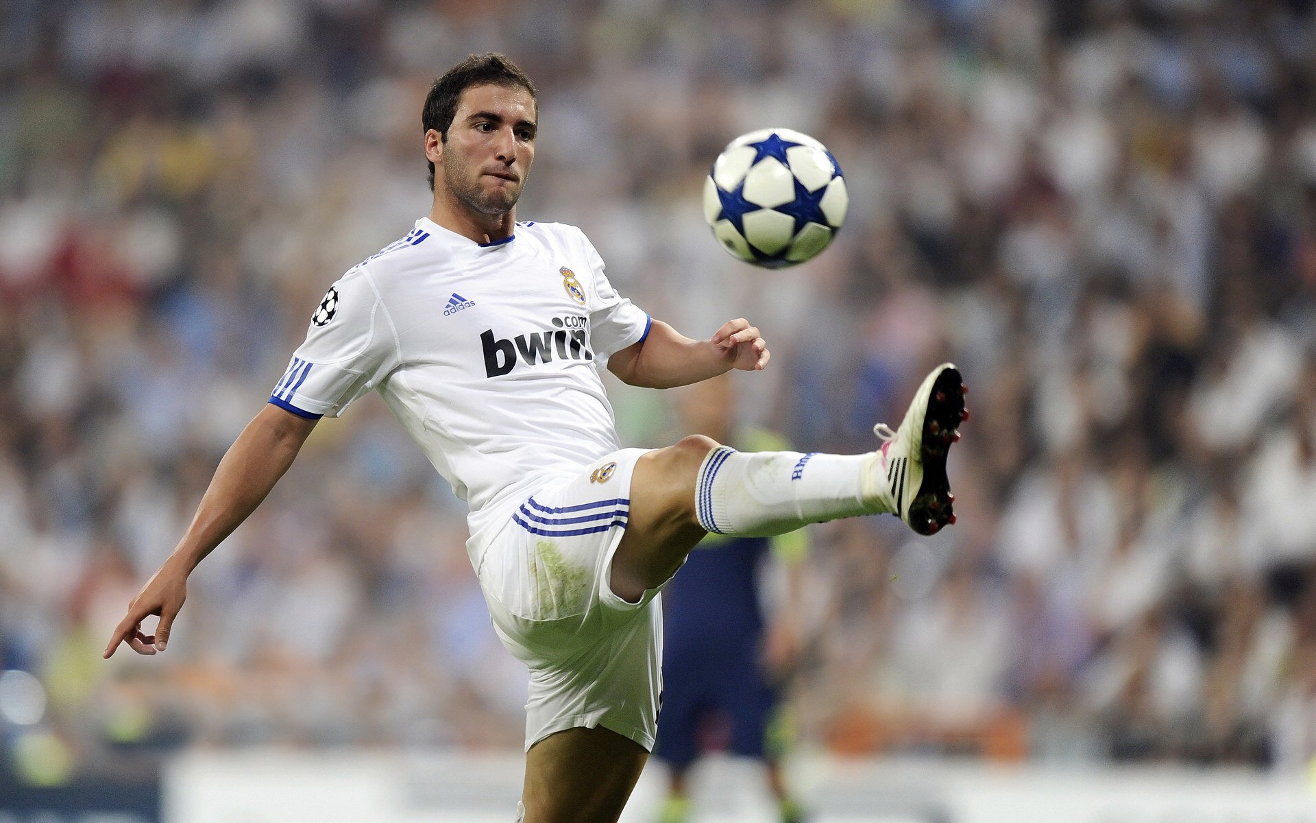 _场馆设计新思路：融合环保元素打造智慧场地_，场馆环境